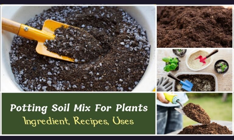 How To Make Potting Soil Mix At Home - ScienceTaj