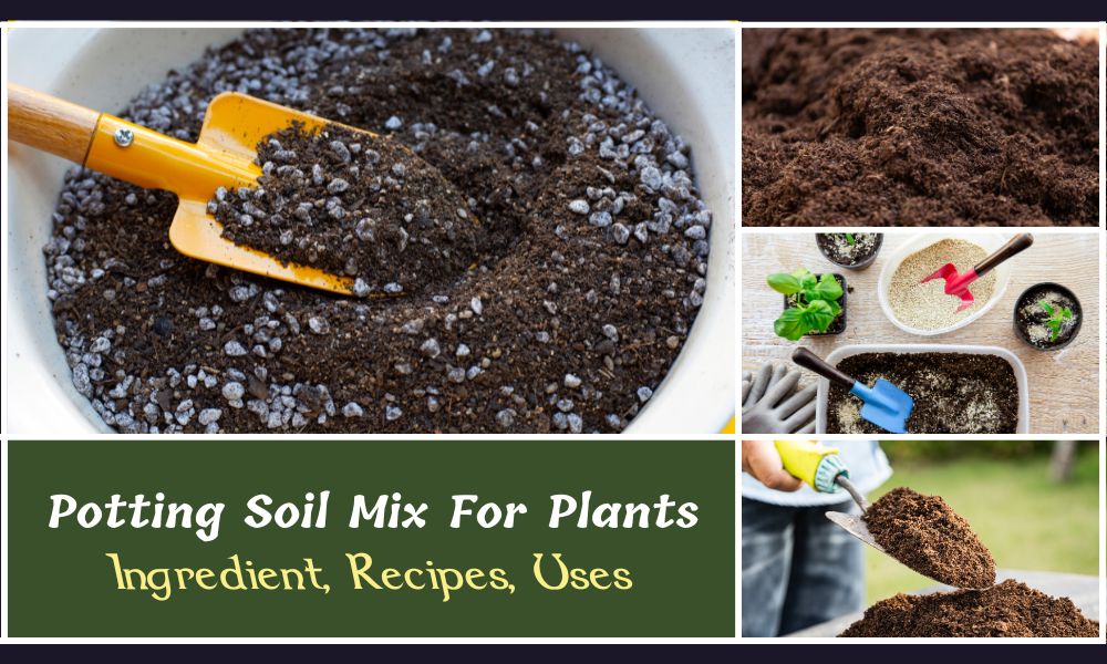 How To Make Potting Soil Mix At Home