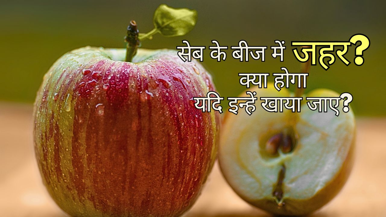 सेब के बीज में जहर: क्या होगा यदि खाया जाए? – Are Apple Seeds Poisonous In Hindi