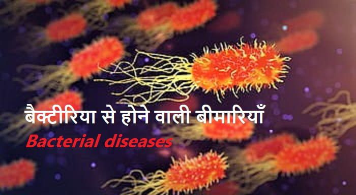 जीवाणु अर्थात बैक्टीरिया से होने वाले रोग – Diseases Caused by Bacteria in Hindi