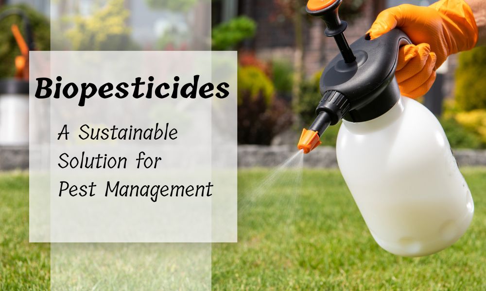 What is Biopesticides – Types, Uses, Advantages