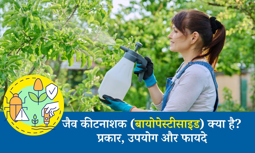 जैव कीटनाशक के प्रकार, उपयोग और फायदे – What are Biopesticides, Types and Uses in Hindi