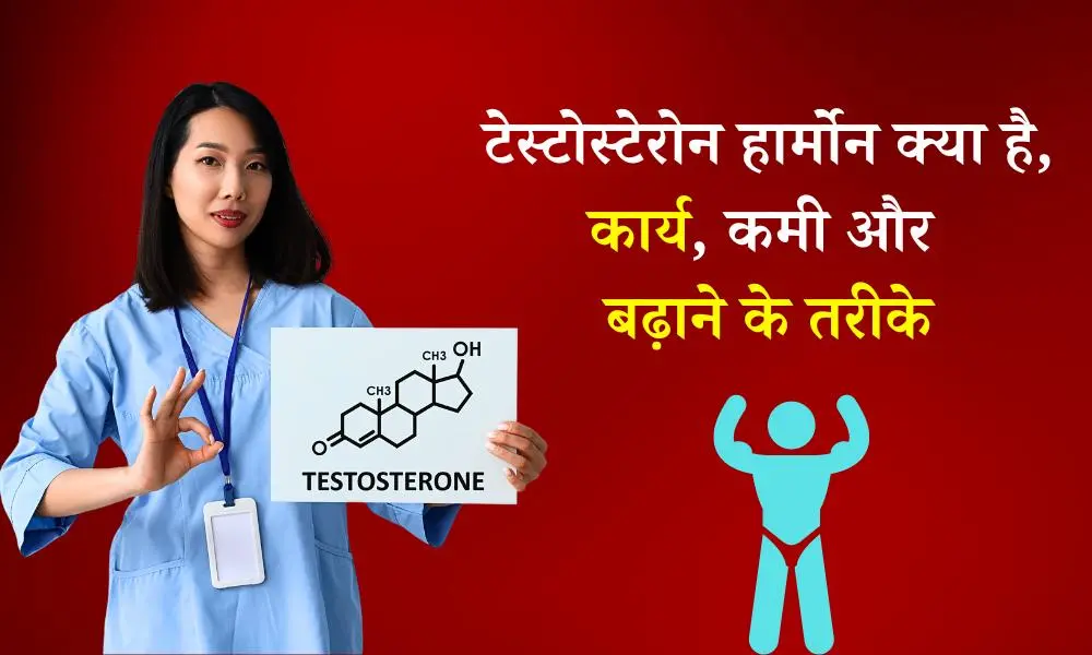 टेस्टोस्टेरोन हार्मोन: कार्य, कमी और बढ़ाने के तरीके – What is Testosterone in Hindi