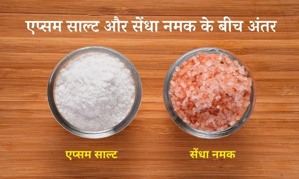 एप्सम साल्ट और सेंधा नमक के बीच अंतर – Difference Between Epsom Salt and Rock Salt in Hindi
