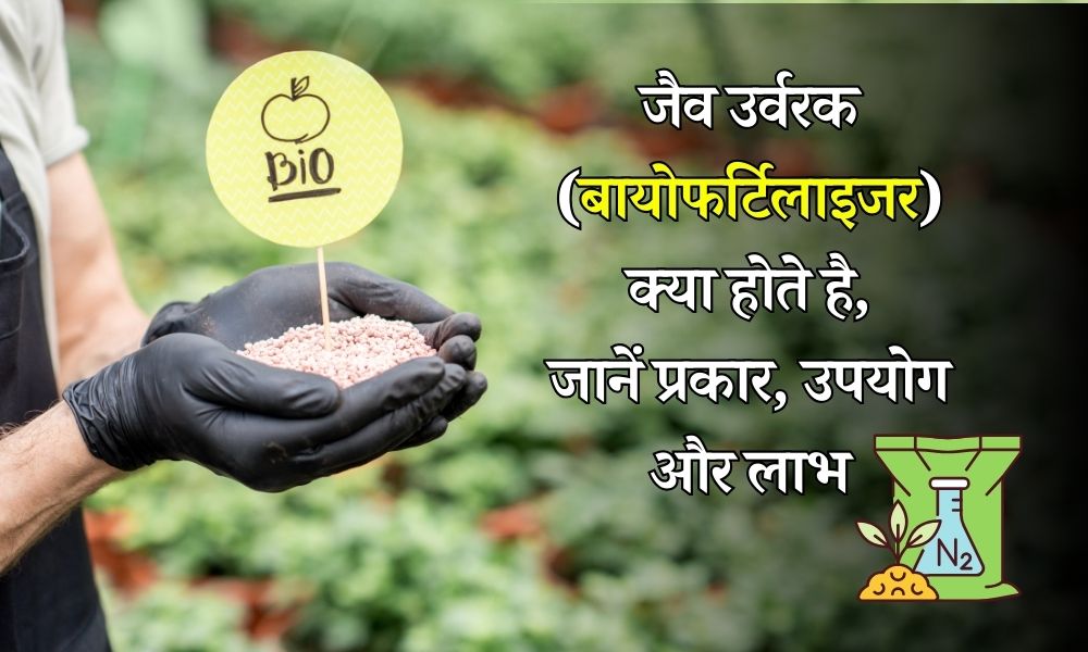 What is Biofertilizers in Hindi 