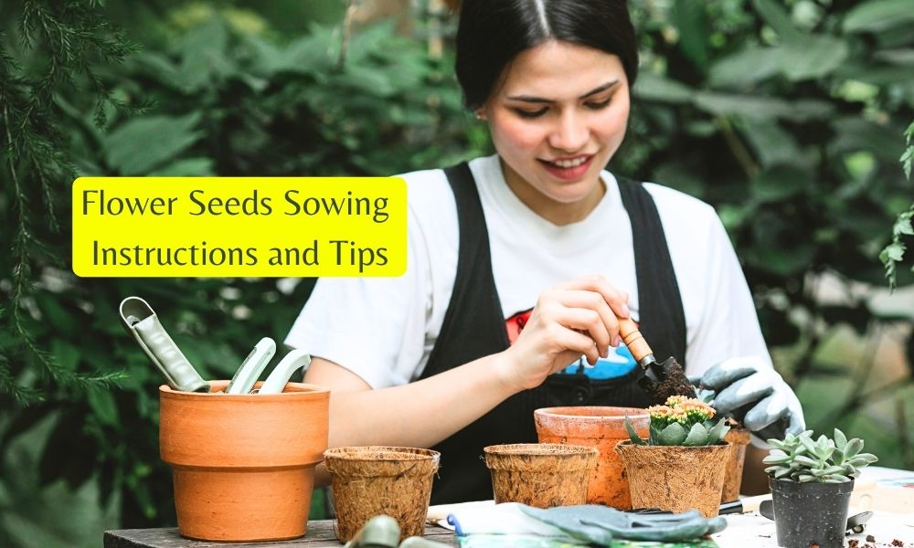 10-Money Making Crops
