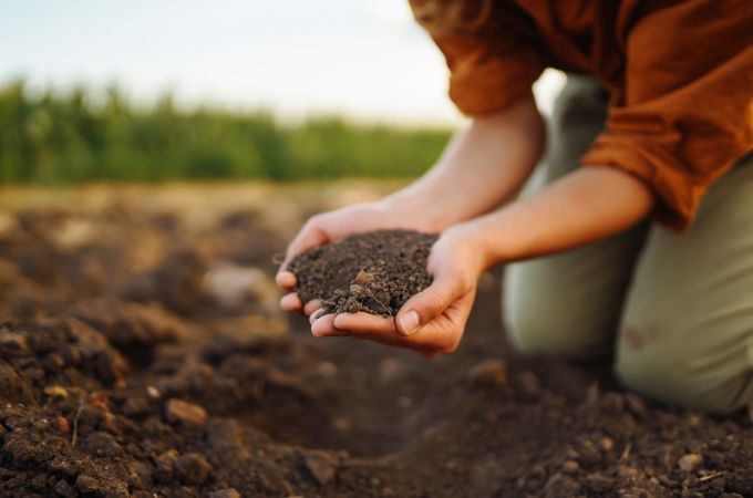 मिट्टी को अम्लीय बनाने के तरीके – Ways To Increase Soil Acidity In Hindi