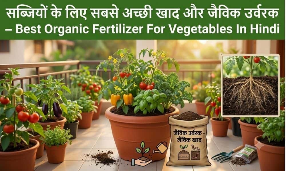 सब्जियों के लिए सबसे अच्छी खाद और जैविक उर्वरक – Best Organic Fertilizer For Vegetables In Hindi 