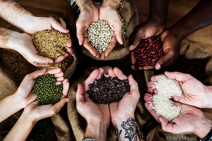 अनुपचारित बीज के फायदे – Benefits Of Using Untreated Seeds In Hindi