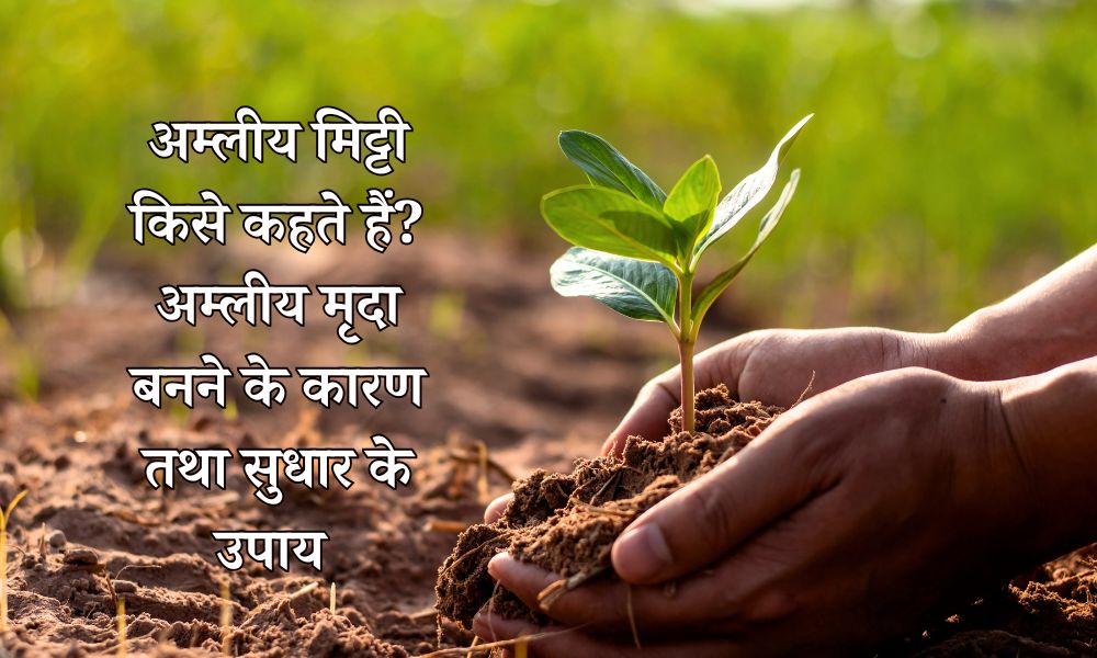 अम्लीय मिट्टी बनने के कारण तथा सुधार के उपाय – What is Soil Acidity in Hindi