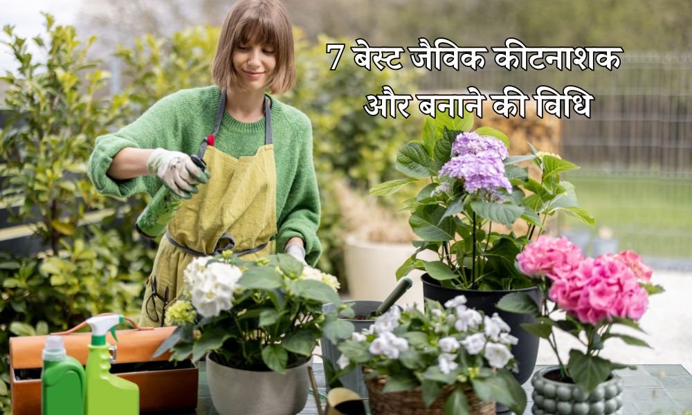 जैविक कीटनाशक घर पर कैसे बनाएं? – Organic Pesticides for Plants in Hindi
